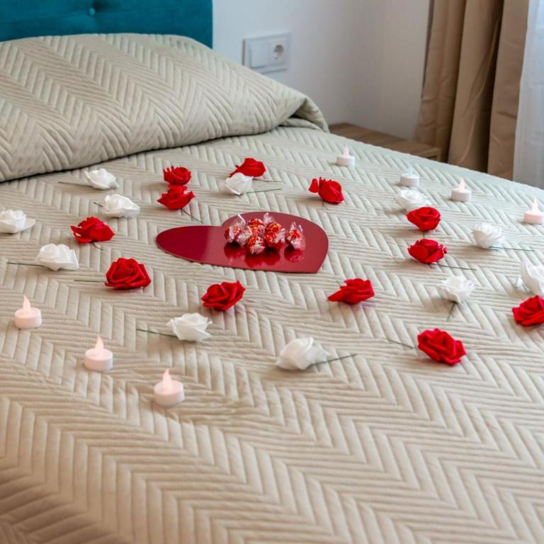 Apartamento a 50m de la playa centrico muy acogedor - Apartamento de 1 dormitorio - 5