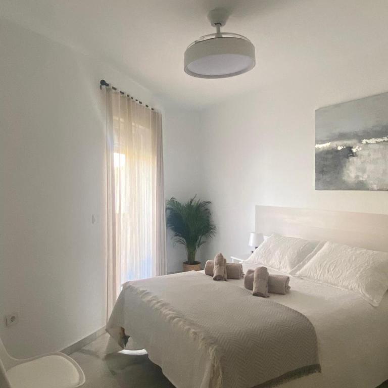 Apartamento Capillera 9 - Apartamento de 2 dormitorios - 21