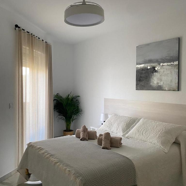Apartamento Capillera 9 - Apartamento de 2 dormitorios - 19