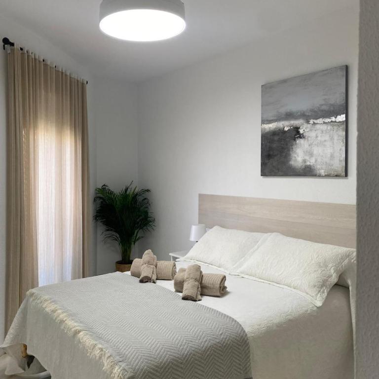 Apartamento Capillera 9 - Apartamento de 2 dormitorios - 20