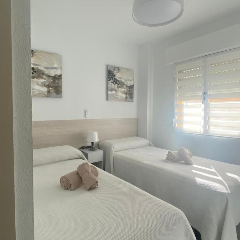 Apartamento Capillera 9 - Apartamento de 2 dormitorios - 24