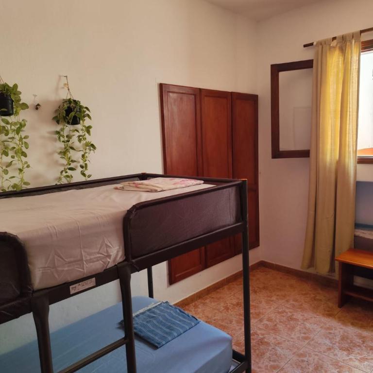 Hostel Banana Surf House - Cama en habitación compartida mixta de 4 camas - 13