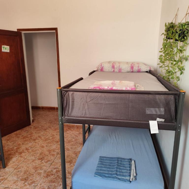 Hostel Banana Surf House - Cama en habitación compartida mixta de 4 camas - 12