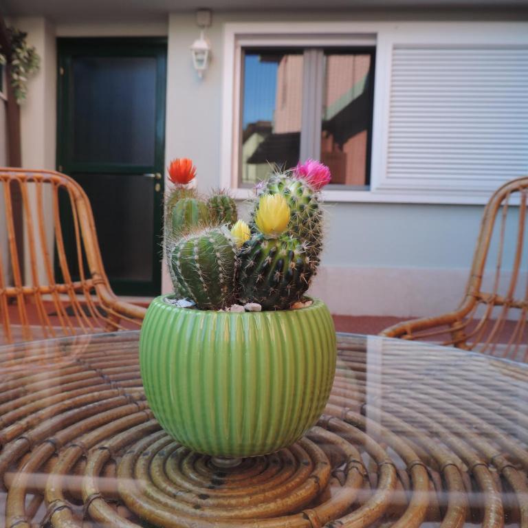 Rosa dei venti airport house - Appartamento con 1 Camera da Letto - 3
