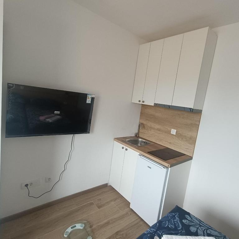 Apartmani Knezevic - Apartment - 1