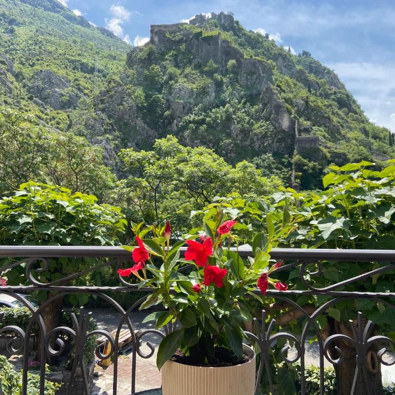 Fiumera Kotor Apartment - Apartment with Terrace - 13