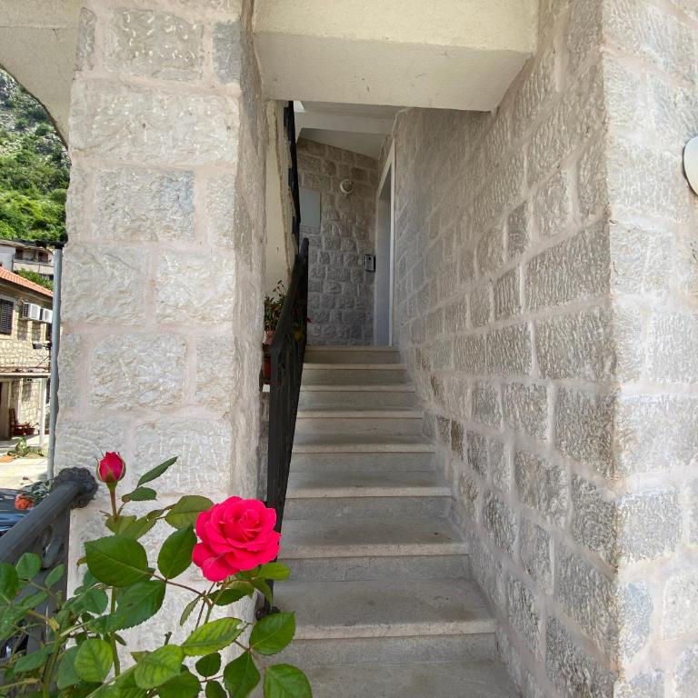 Fiumera Kotor Apartment - Apartment with Terrace - 45