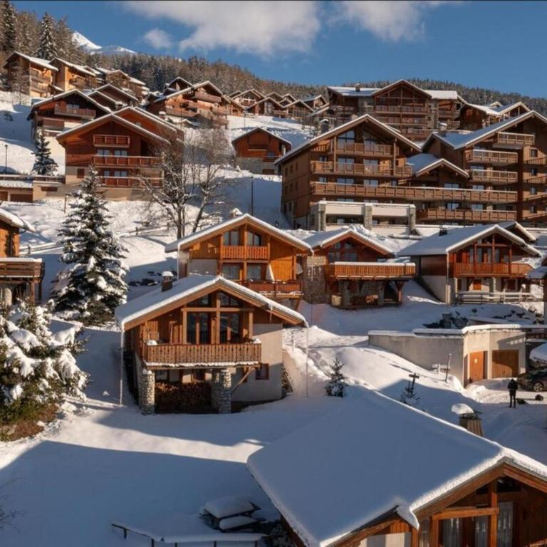 Chalet Peisey-Vallandry - Le Gland d'Or - 8p - Chalet 1 Chambre - 10