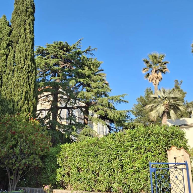 Appt 83m2 rez de jardin dans villa parc privé balcon vue mer - Apartment mit 1 Schlafzimmer und Gartenblick - 28