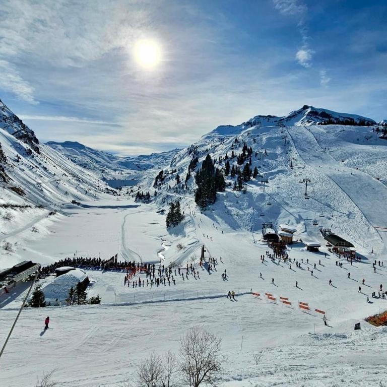 Le flocon appartement au pied des pistes Avoriaz rénové à neuf - Apartamento de 3 dormitorios - 42