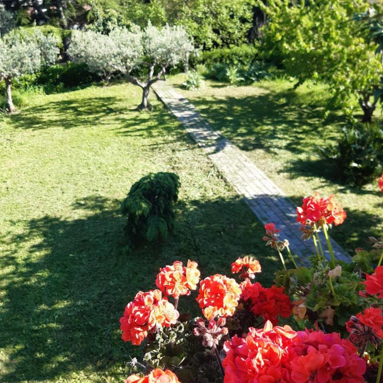 La terrazza di colle Marino - Casa Vacanze - 5
