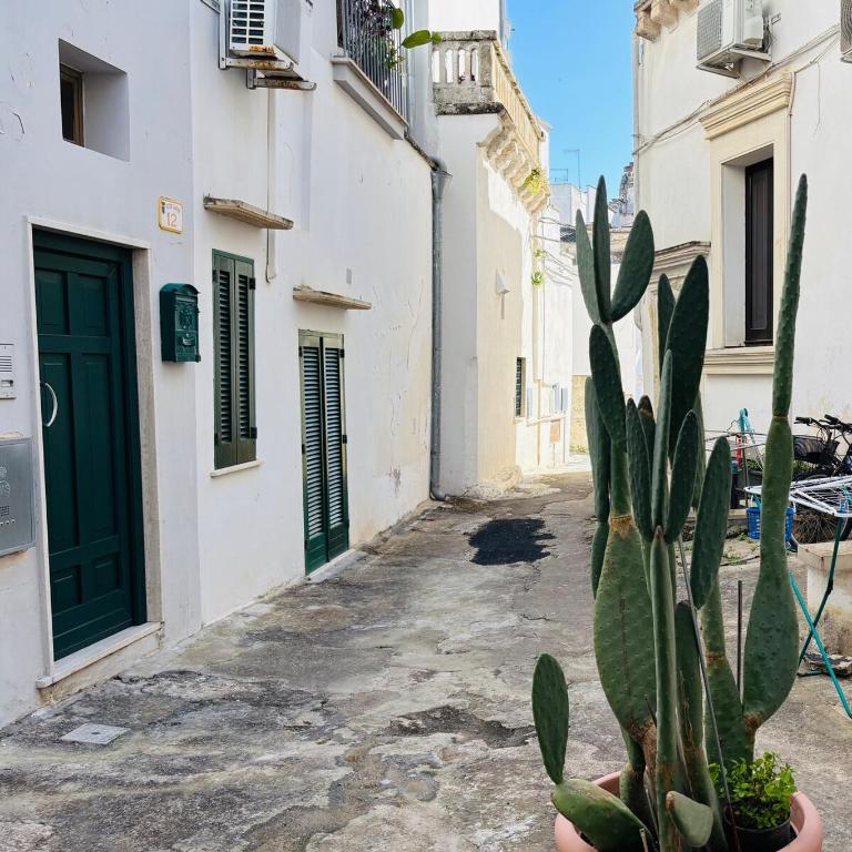 Le Terrazze di Vico Moline - Two-Bedroom Apartment - 2