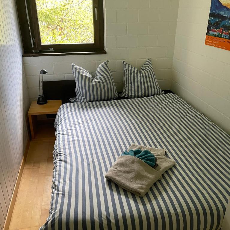Central Cozy Family friendly Stylish Apartment I View to Jungfrau & Männlichen I Wengen - Apartment mit 3 Schlafzimmern - 6