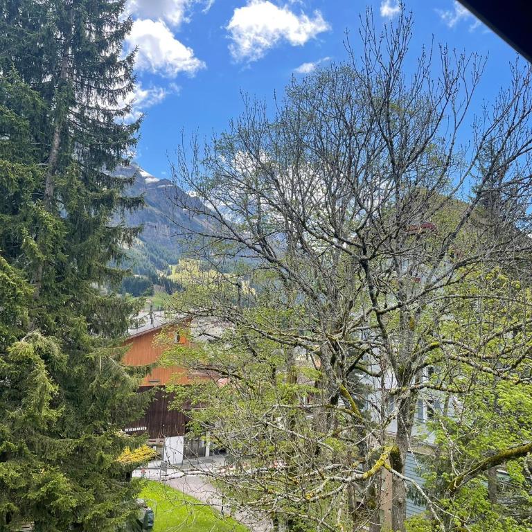 Central Cozy Family friendly Stylish Apartment I View to Jungfrau & Männlichen I Wengen - Apartment mit 3 Schlafzimmern - 12