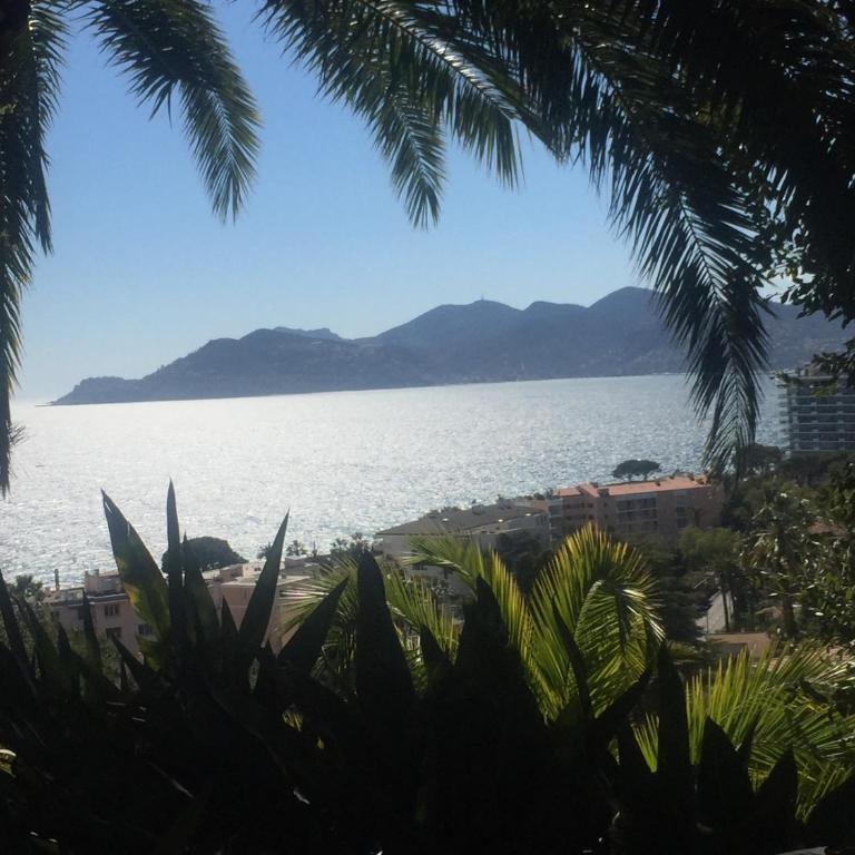 Charmant appartement dans résidence avec piscine vue mer - Appartement 1 Chambre - 17