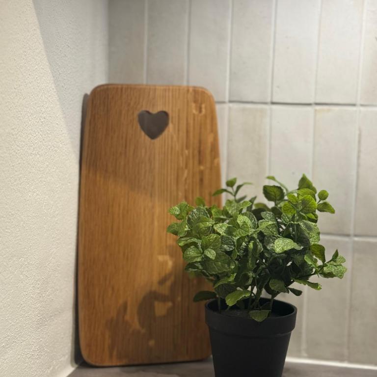 Staller Hof inkl. Chiemgaukarte - Apartment mit 2 Schlafzimmern - 12