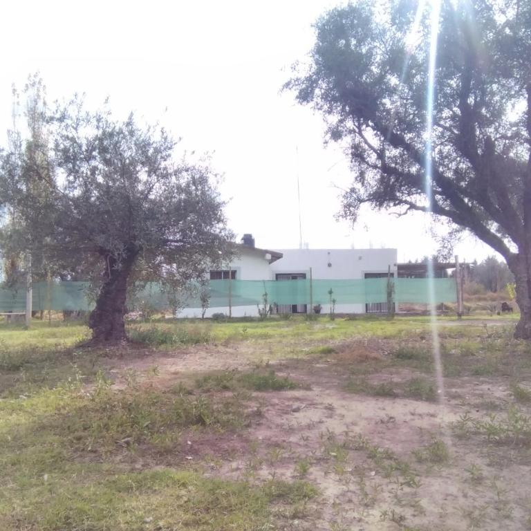 mendoza junin - Casa con 1 dormitorio - 11