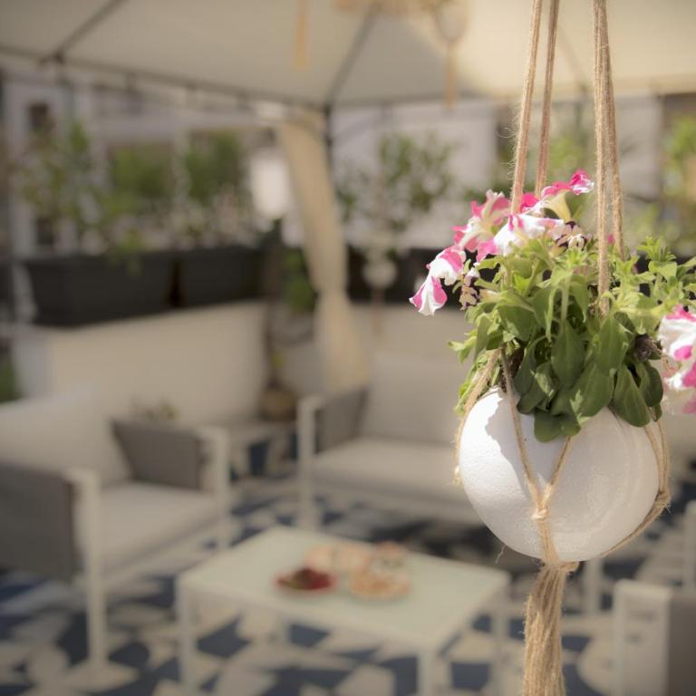 Adenzia Suite - Appartamento Suite - 9