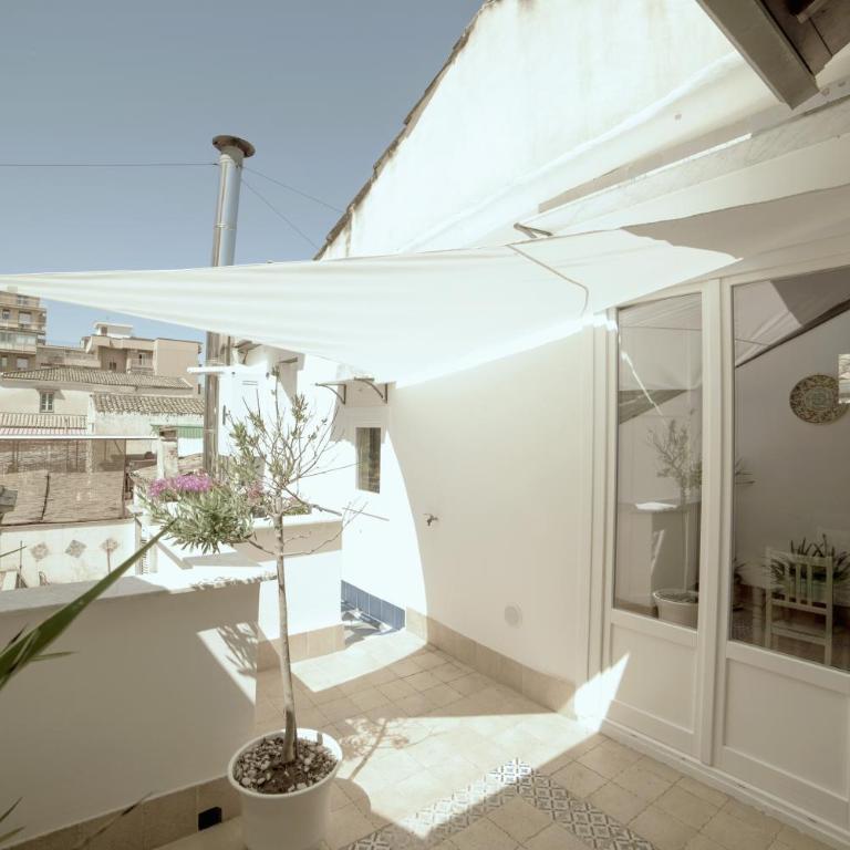 Adenzia Suite - Appartamento Suite - 11
