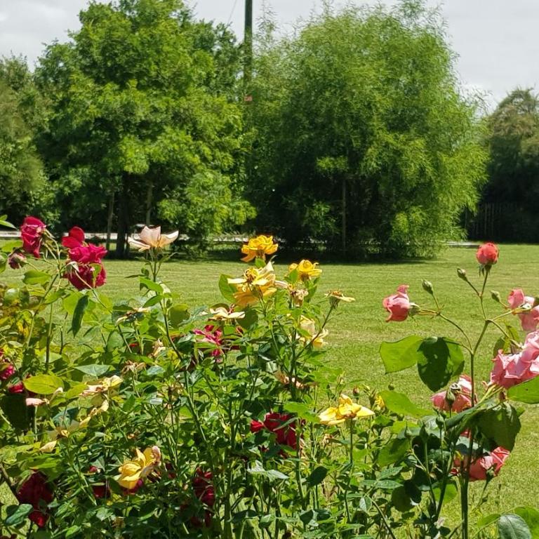 Villa Brocéliande - Les Tilleuls - Apartment mit 2 Schlafzimmern und Terrasse - 31