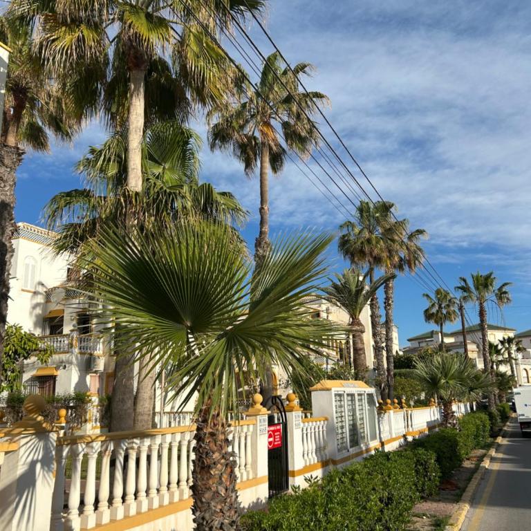 Mimosa Apartman Molino Blanco La Mata - Apartamento de 2 dormitorios - 48