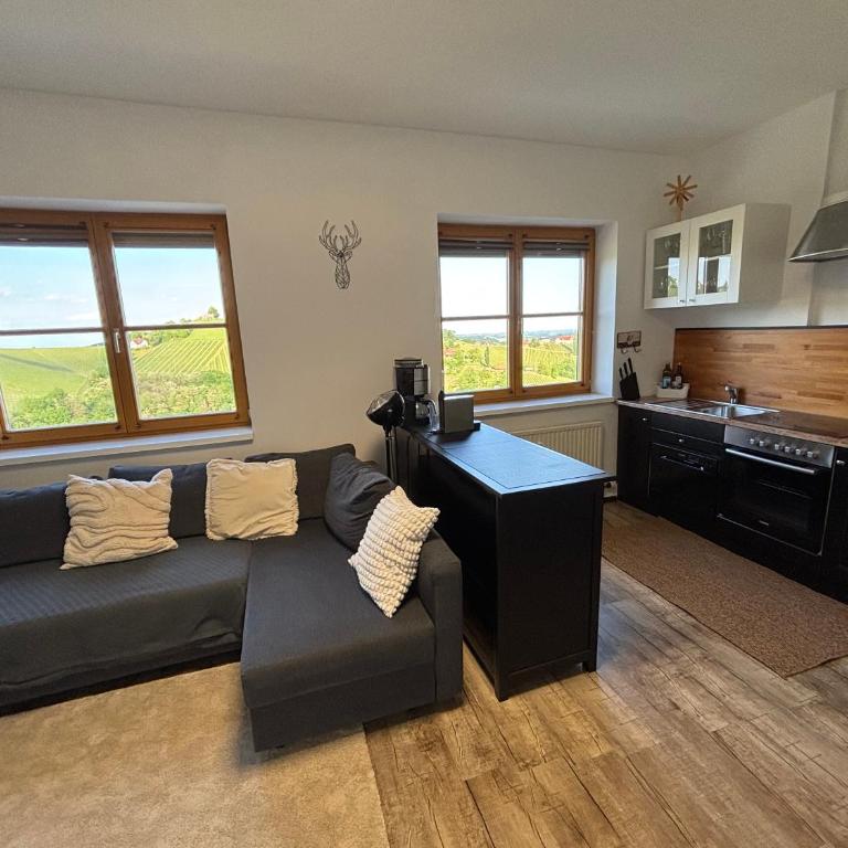 Glanz und Gloria Weingartenapartment an der Kellerstraße, viele Buschenschänke, sehr ruhige Lage, herrliche Aussicht! - Appartement - Vue sur Jardin - 15
