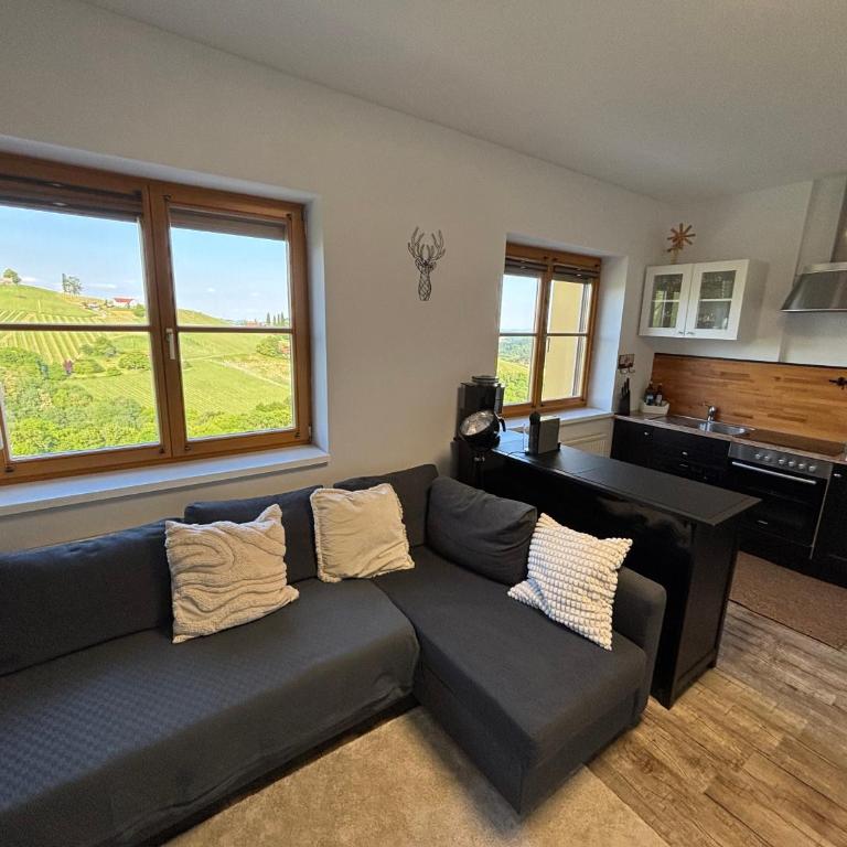 Glanz und Gloria Weingartenapartment an der Kellerstraße, viele Buschenschänke, sehr ruhige Lage, herrliche Aussicht! - Appartement - Vue sur Jardin - 18