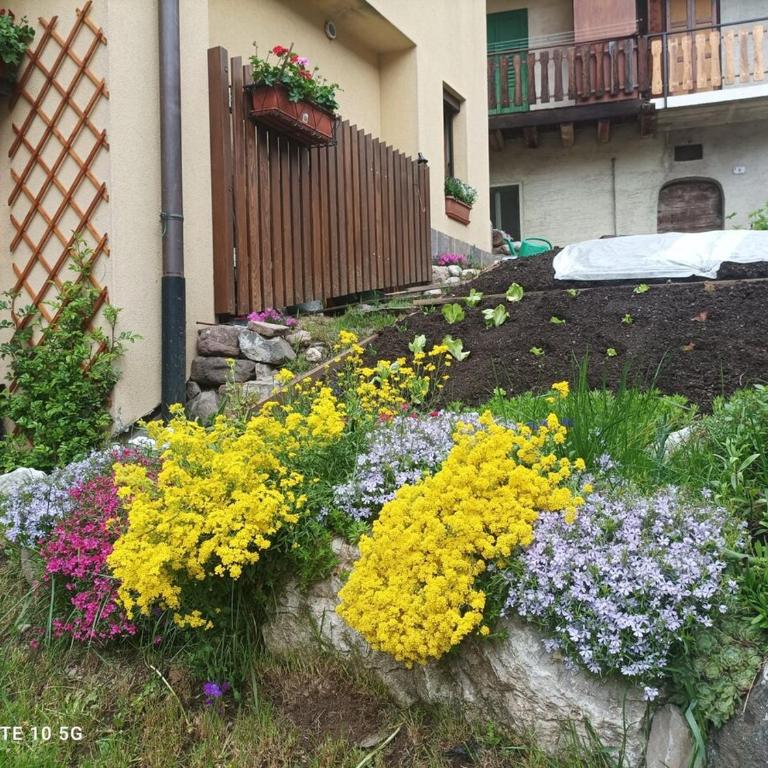 Casa Roberta - Appartamento con 1 Camera da Letto - 4