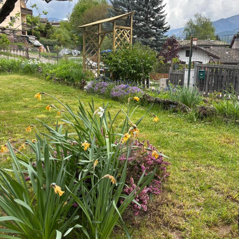 Casa GOLLES - Val Di Fiemme - Apartamento de 1 dormitorio - 3