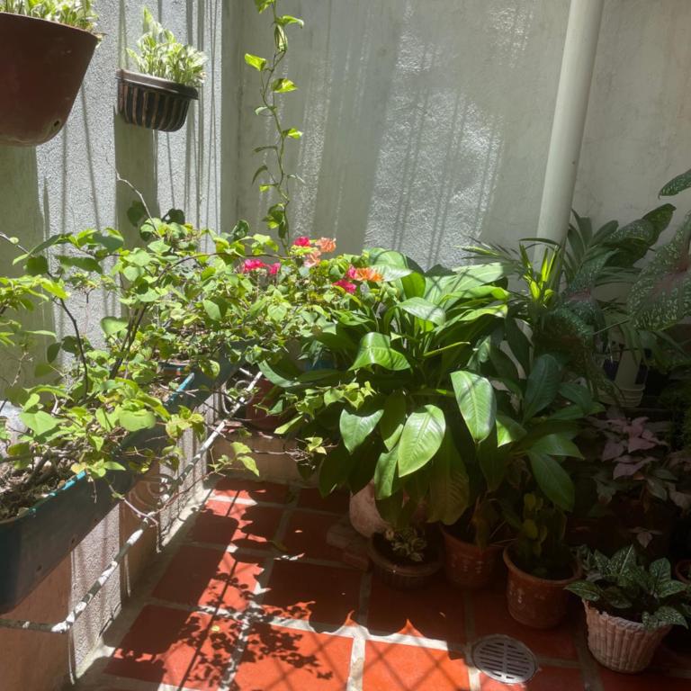 Casa Vilmar Getsemani - Double Room with Private Bathroom - 8