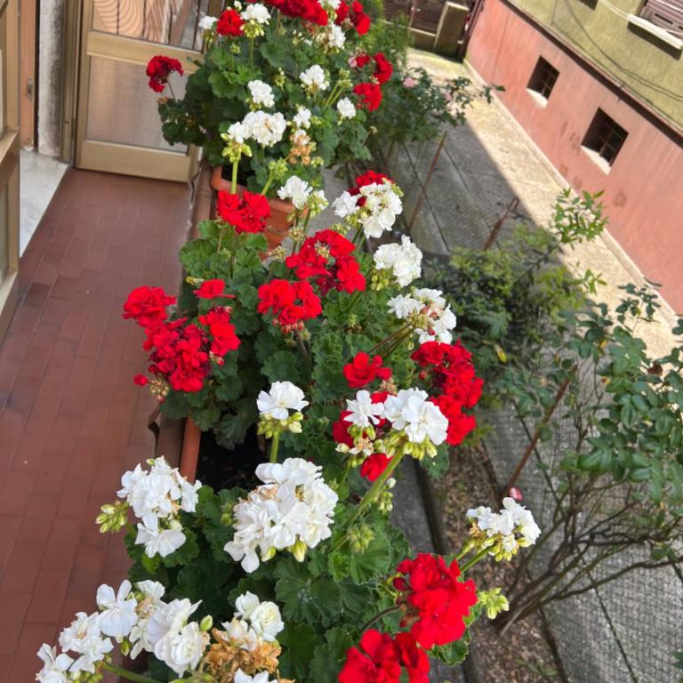 Casa di sara - Two-Bedroom Apartment - 4