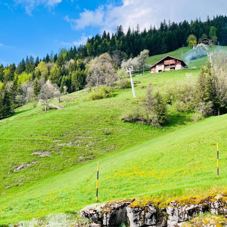Cocon alpin rénové - Accès direct aux pistes - Appartement 2 Chambres avec Vue sur la Montagne - 18