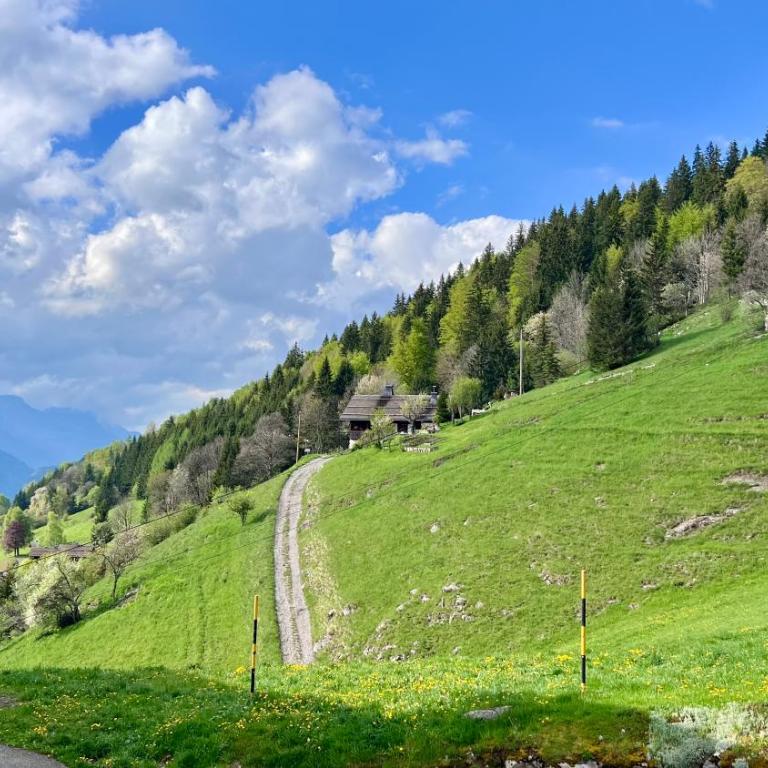 Cocon alpin rénové - Accès direct aux pistes - Appartement 2 Chambres avec Vue sur la Montagne - 19