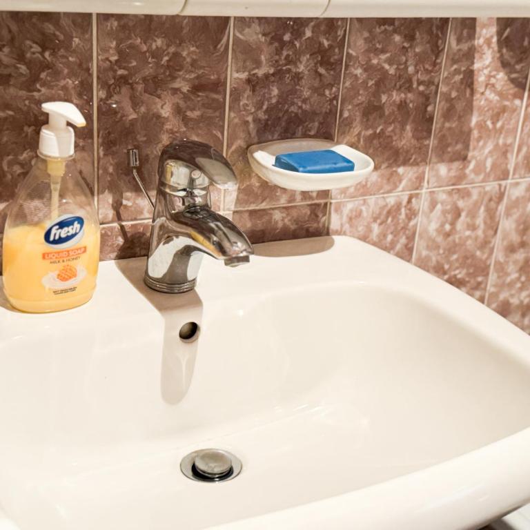 Sarajevo Time Travel with Grandpa - Apartman sa 3 Spavaće Sobe i Pogledom - 42