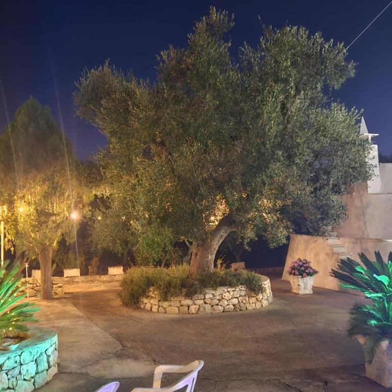 Villa Trullo Septis - Casa Vacanze - 27