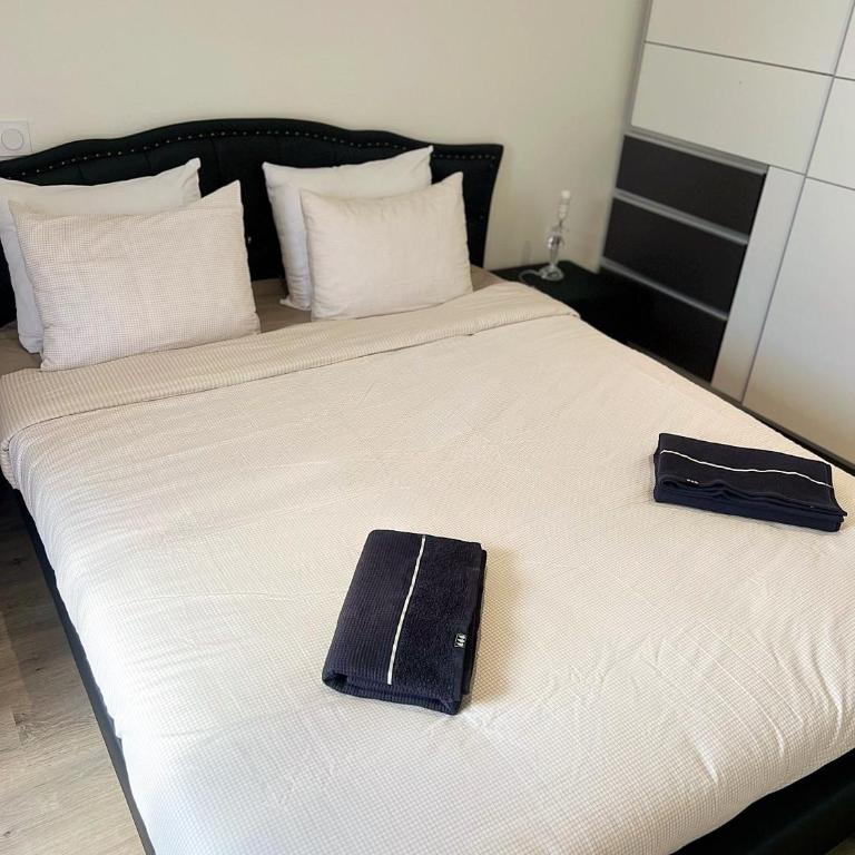 Annecy Naila's apartement - Appartamento con 2 Camere da Letto - 10