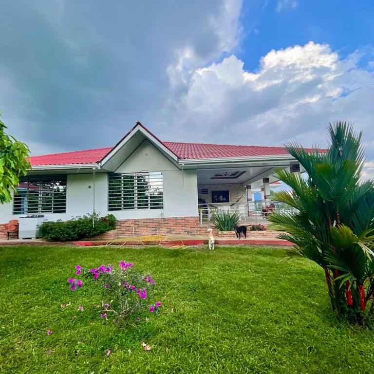 Villa Gladys con Piscina Privada y Vista Natural - Casa de 4 dormitorios - 14