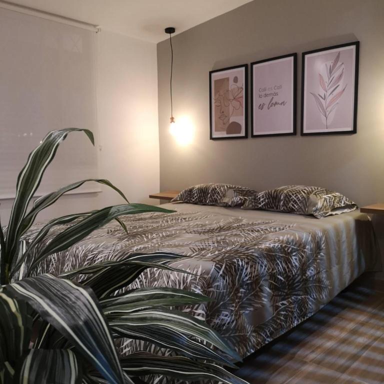 Apartaestudios tipo Loft Luxury - One-Bedroom Apartment - 4