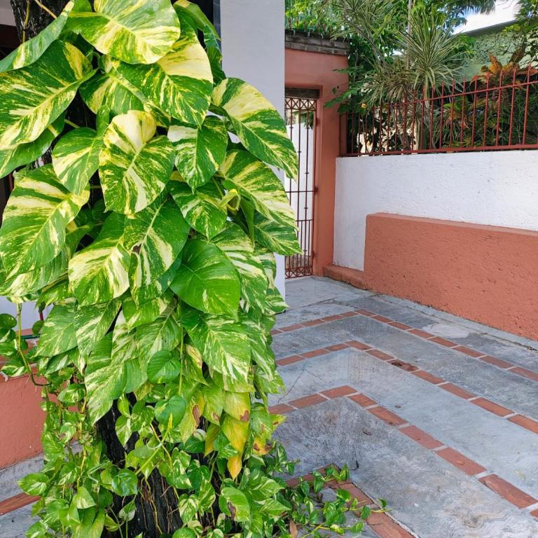 Hermosa casa mexicana en el centro de Cancún! - One-Bedroom Apartment - 4