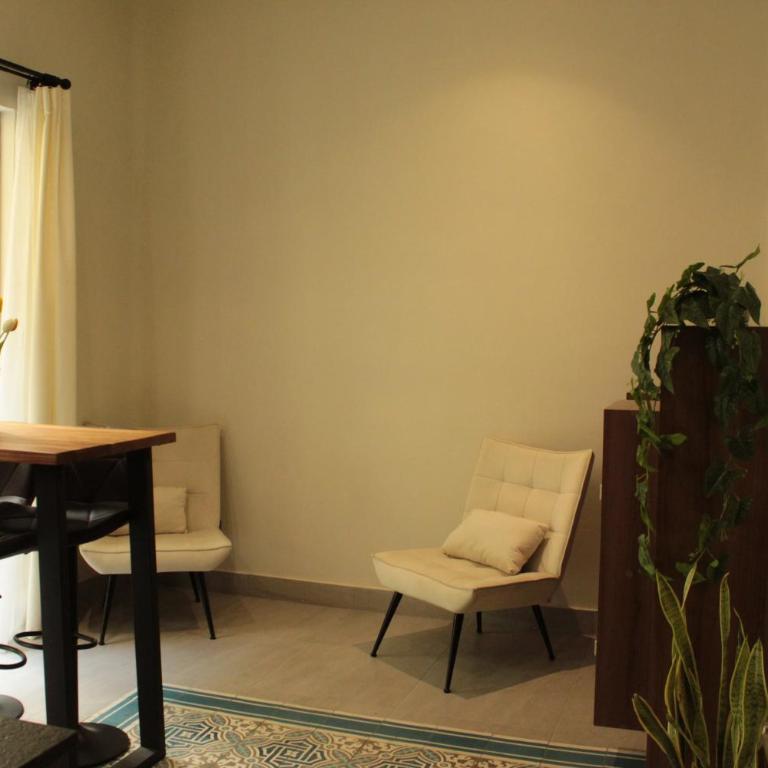 Apartamento completo planta baja Colonia Moderna - Apartamento Estudio con cama extragrande - 3