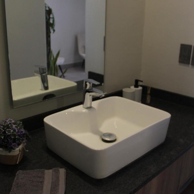 Apartamento completo planta baja Colonia Moderna - Apartamento Estudio con cama extragrande - 7