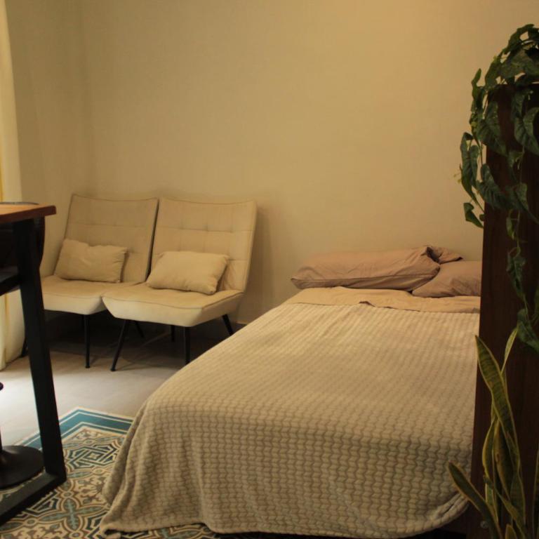 Apartamento completo planta baja Colonia Moderna - Apartamento Estudio con cama extragrande - 5