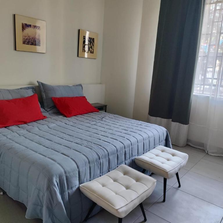 Apartamento completo planta baja Colonia Moderna - Apartamento Estudio con cama extragrande - 2