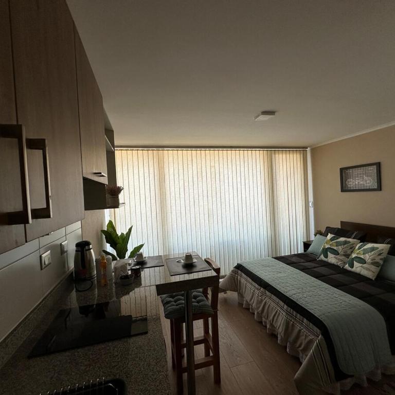 Departamento en Chillan Centro - One-Bedroom Apartment - 15