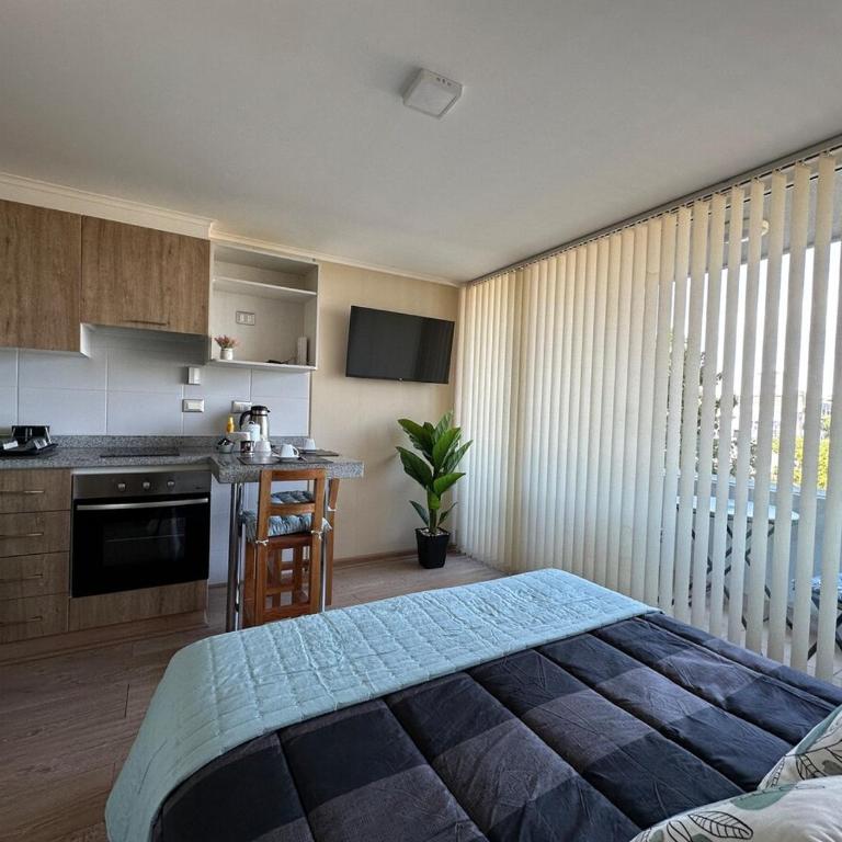 Departamento en Chillan Centro - One-Bedroom Apartment - 19