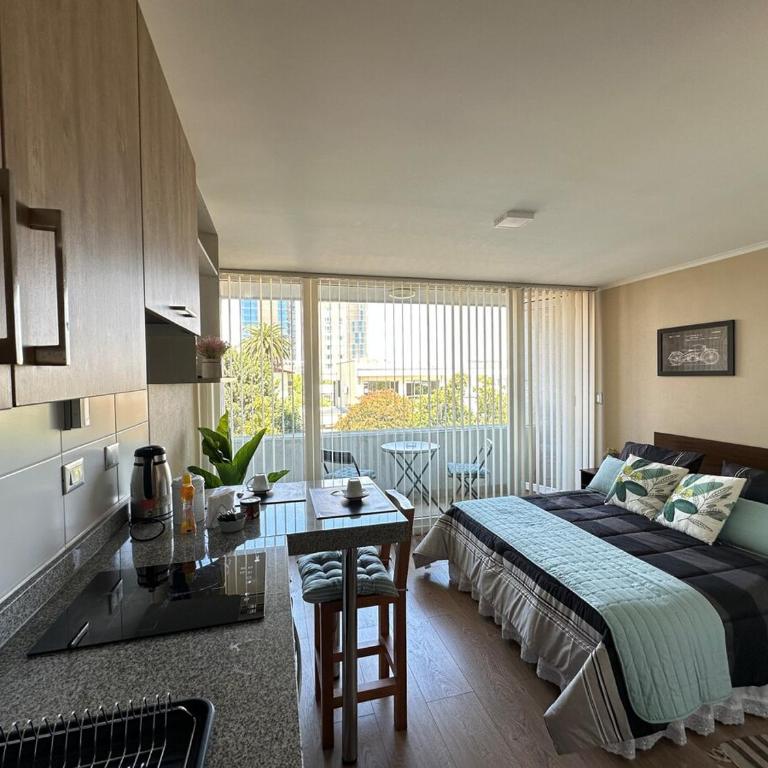 Departamento en Chillan Centro - One-Bedroom Apartment - 20