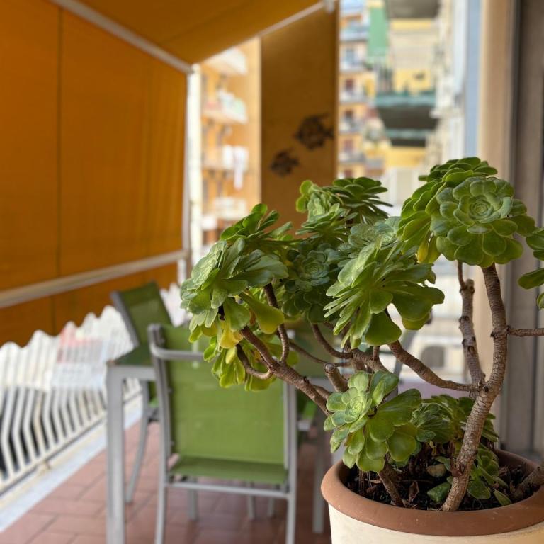 Cangiano House by Sicily in Home - Appartamento con 2 Camere da Letto, Balcone e Terrazza - 5