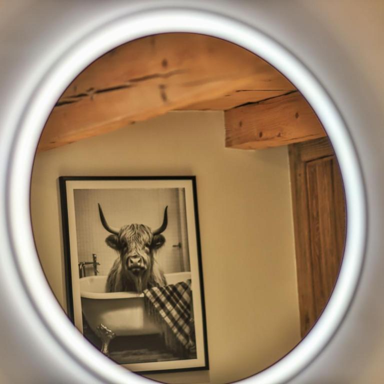 Chalet Le Nutshell - 4pers - Vue montagne au calme - Proche Annecy, La Clusaz, Grand-Bornand - AravisTour - Chalet 2 Chambres - 36
