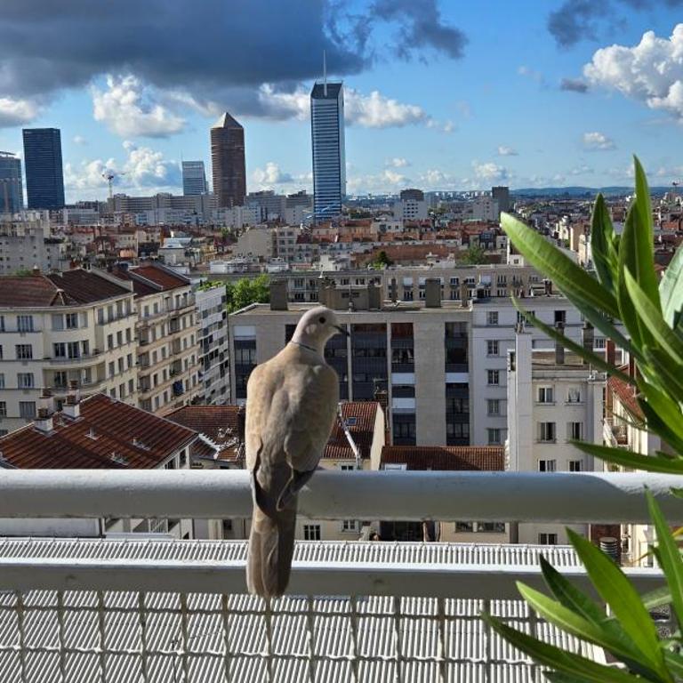 PLEIN SUD Terrasse Garage Netflix Climatisation - Appartement avec Balcon - 3