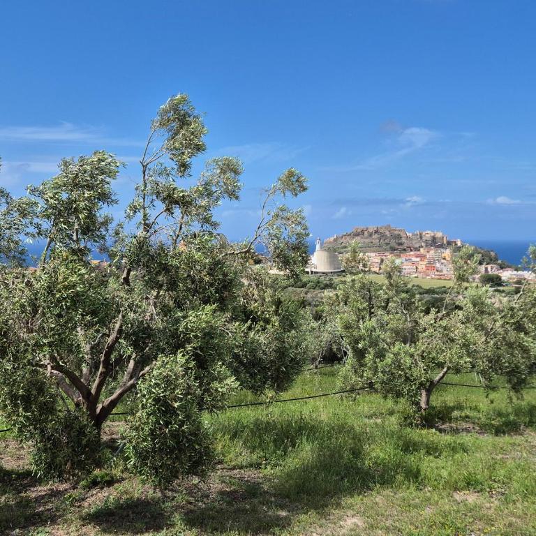 Villetta Olivia Casa in collina vista mare - Casa con 2 Camere da Letto - 56